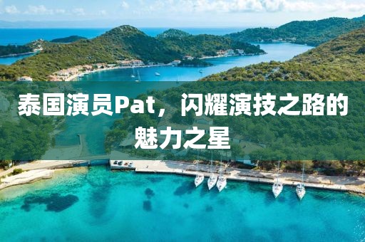 泰国演员Pat，闪耀演技之路的魅力之星