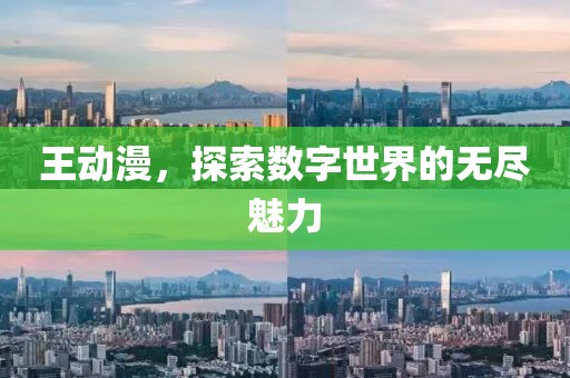 王动漫，探索数字世界的无尽魅力
