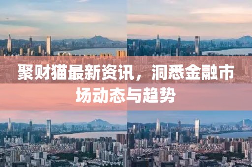 聚财猫最新资讯，洞悉金融市场动态与趋势