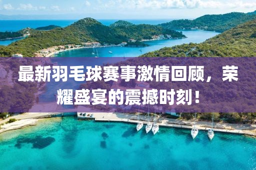 最新羽毛球赛事激情回顾，荣耀盛宴的震撼时刻！