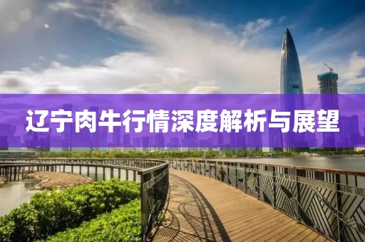 辽宁肉牛行情深度解析与展望