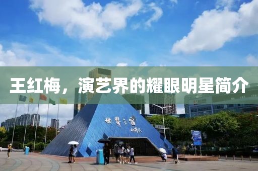 王红梅，演艺界的耀眼明星简介