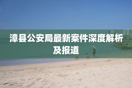 漳县公安局最新案件深度解析及报道