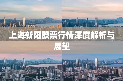 上海新阳股票行情深度解析与展望