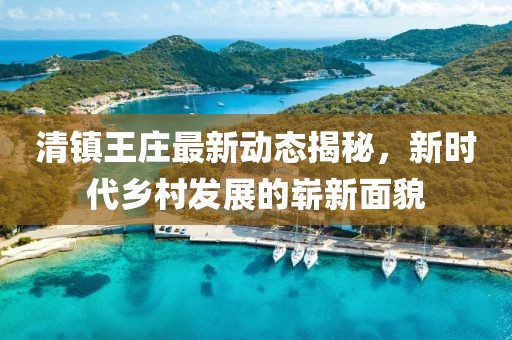 清镇王庄最新动态揭秘，新时代乡村发展的崭新面貌