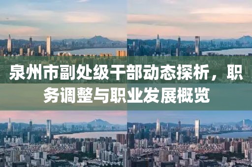 泉州市副处级干部动态探析，职务调整与职业发展概览