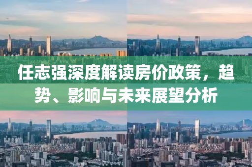 任志强深度解读房价政策，趋势、影响与未来展望分析