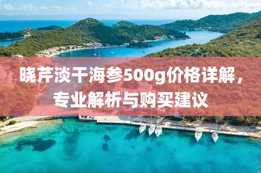 晓芹淡干海参500g价格详解，专业解析与购买建议