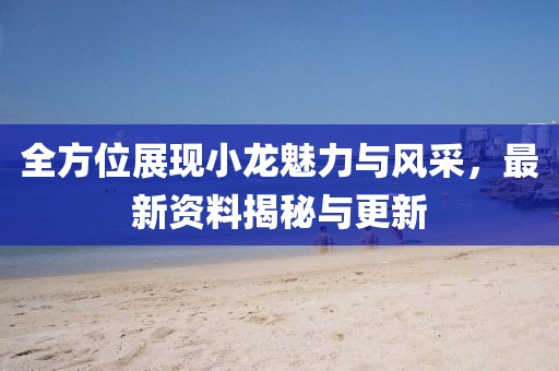 全方位展现小龙魅力与风采，最新资料揭秘与更新