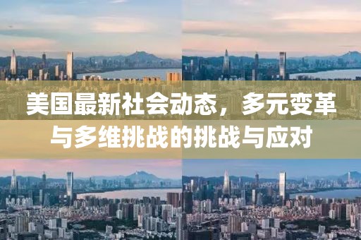 美国最新社会动态，多元变革与多维挑战的挑战与应对