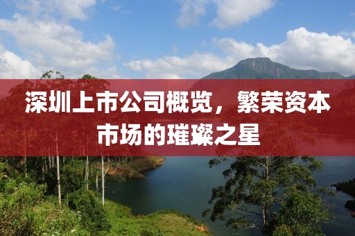 深圳上市公司概览，繁荣资本市场的璀璨之星
