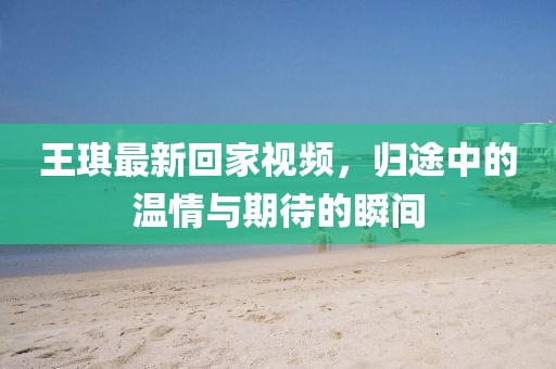 王琪最新回家视频，归途中的温情与期待的瞬间