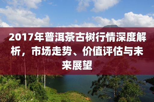 2017年普洱茶古树行情深度解析，市场走势、价值评估与未来展望