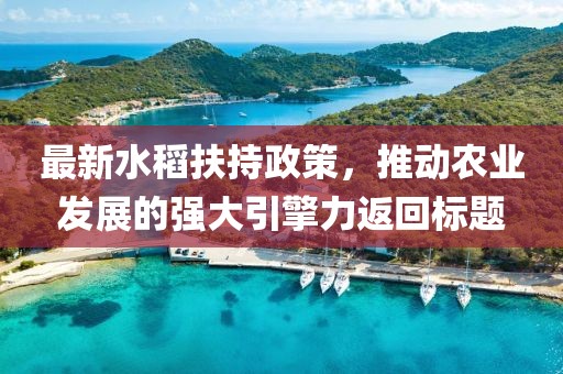 最新水稻扶持政策，推动农业发展的强大引擎力返回标题