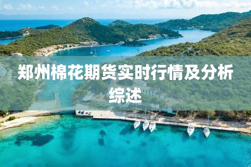 郑州棉花期货实时行情及分析综述
