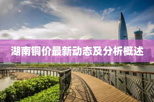 湖南铜价最新动态及分析概述