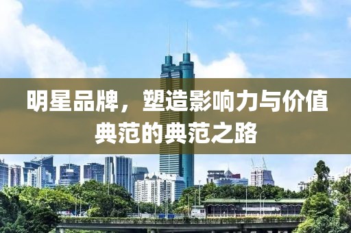 明星品牌，塑造影响力与价值典范的典范之路