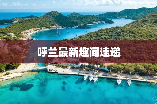 呼兰最新趣闻速递