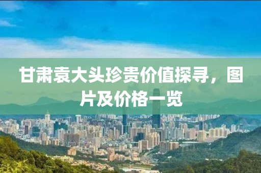 甘肃袁大头珍贵价值探寻，图片及价格一览