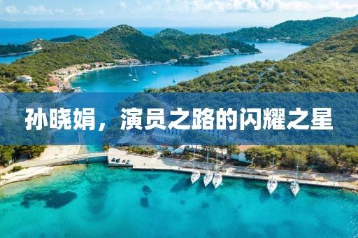 孙晓娟，演员之路的闪耀之星