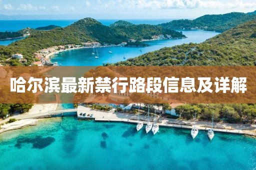 哈尔滨最新禁行路段信息及详解