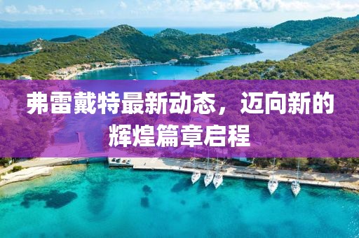 弗雷戴特最新动态，迈向新的辉煌篇章启程