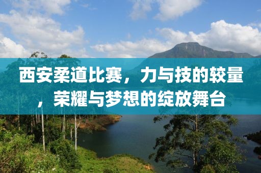 西安柔道比赛，力与技的较量，荣耀与梦想的绽放舞台