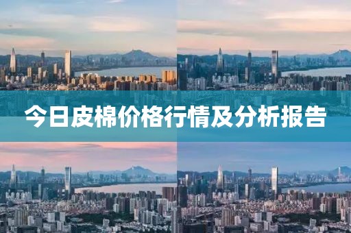 今日皮棉价格行情及分析报告