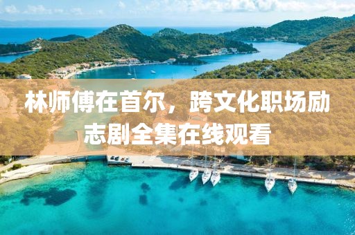 林师傅在首尔，跨文化职场励志剧全集在线观看