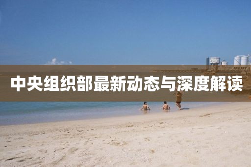 中央组织部最新动态与深度解读