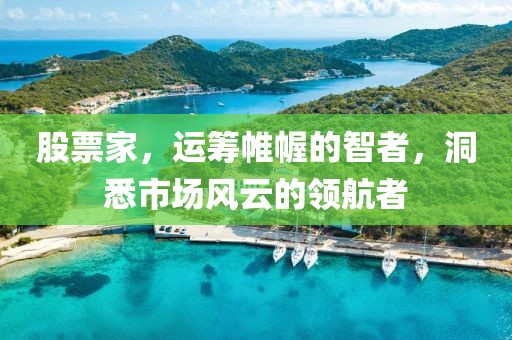 股票家，运筹帷幄的智者，洞悉市场风云的领航者