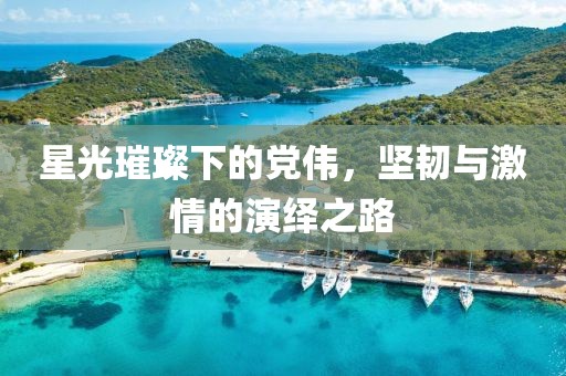 星光璀璨下的党伟，坚韧与激情的演绎之路