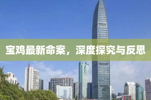 宝鸡最新命案，深度探究与反思