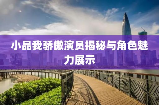 小品我骄傲演员揭秘与角色魅力展示