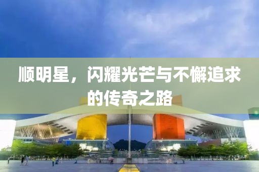 顺明星，闪耀光芒与不懈追求的传奇之路