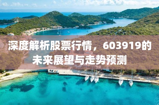 深度解析股票行情，603919的未来展望与走势预测