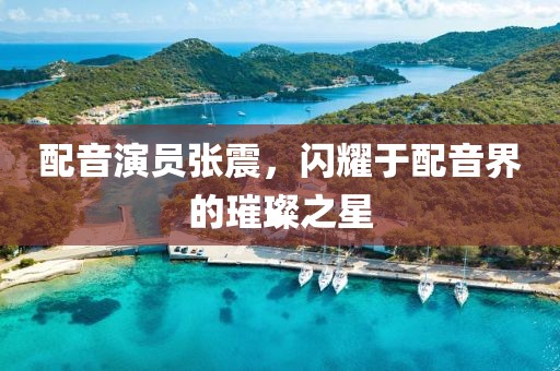 配音演员张震，闪耀于配音界的璀璨之星