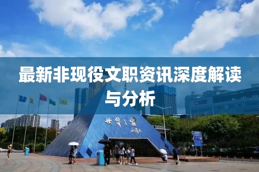 最新非现役文职资讯深度解读与分析
