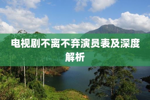 电视剧不离不弃演员表及深度解析