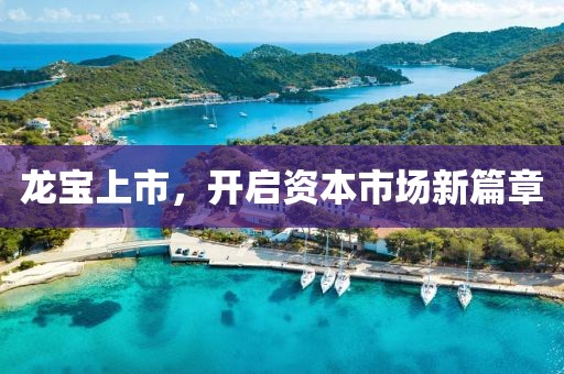 龙宝上市，开启资本市场新篇章