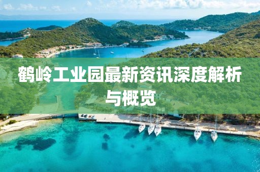 鹤岭工业园最新资讯深度解析与概览