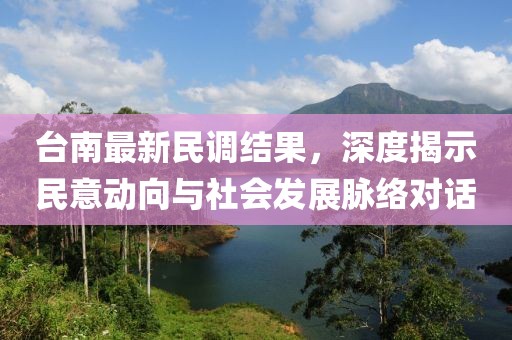 台南最新民调结果，深度揭示民意动向与社会发展脉络对话