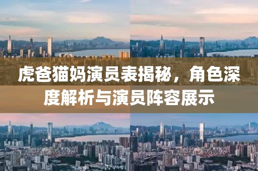 虎爸猫妈演员表揭秘，角色深度解析与演员阵容展示