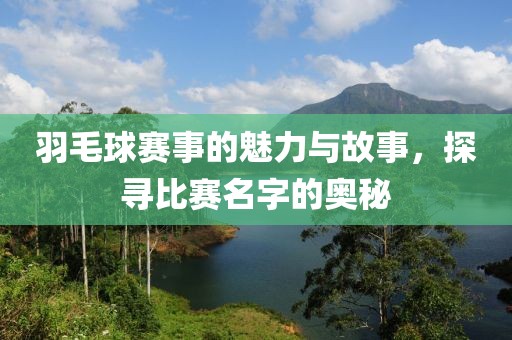 羽毛球赛事的魅力与故事，探寻比赛名字的奥秘