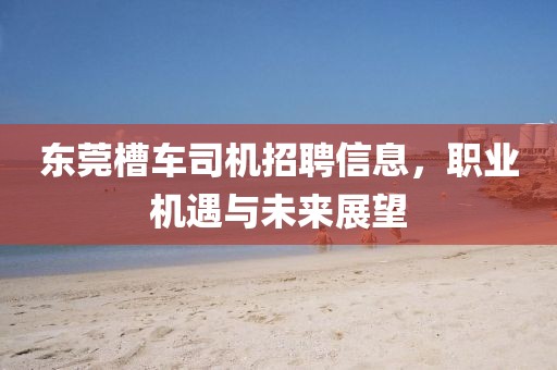 东莞槽车司机招聘信息，职业机遇与未来展望