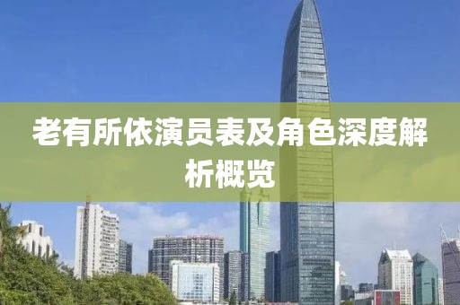老有所依演员表及角色深度解析概览