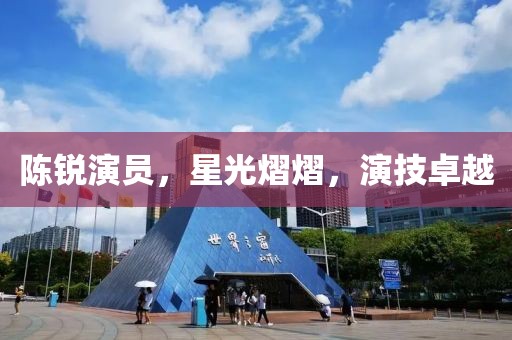 陈锐演员，星光熠熠，演技卓越