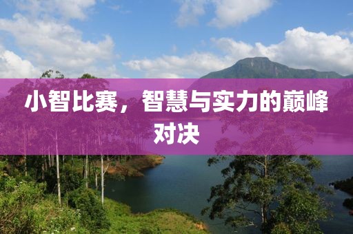 小智比赛，智慧与实力的巅峰对决