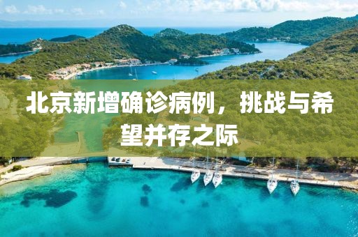 北京新增确诊病例，挑战与希望并存之际