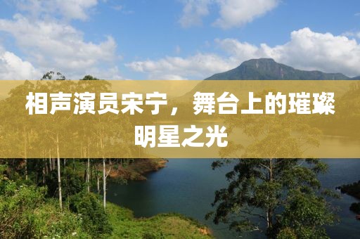 相声演员宋宁，舞台上的璀璨明星之光